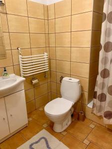 La salle de bains est pourvue de toilettes blanches et d'un lavabo. dans l'établissement Agroturystyka Kalwiszki, à Sejny