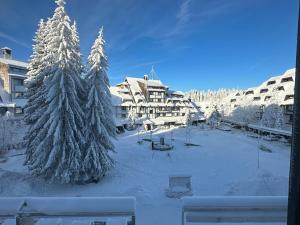a snow covered yard with a snow covered tree and buildings at Konaci”Rile-Men” in Kopaonik