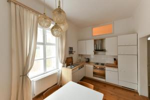 Kuchyň nebo kuchyňský kout v ubytování Schloss Hollenburg Aparte Apartments