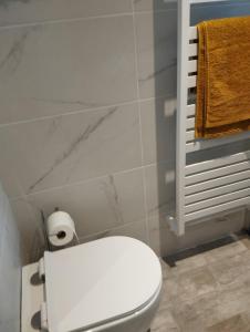 Studio le pont de claix في لو بونت دي كليكس: حمام به مرحاض أبيض و لفة من ورق التواليت