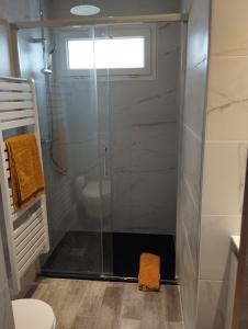 een douche met een glazen deur in de badkamer bij Studio le pont de claix in Le Pont-de-Claix