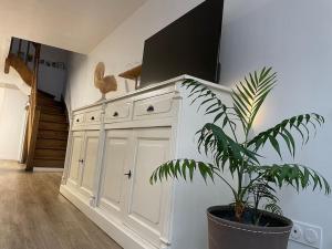 a kitchen with white cabinets and a potted plant at La Har'Elle in Château-Gontier +10 photos