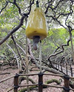 un alimentador de aves amarillas colgando de un árbol en Home Austria-RN, en Parnamirim