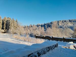 Gallery image of Рудий Лис in Skhidnitsa +38 photos