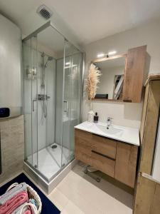 y baño con ducha, lavabo y espejo. en Studio cosy, en Oye-et-Pallet