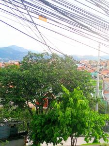 een uitzicht op een stad met een boom en stroomkabels bij North Family View n Wide in Cuenca