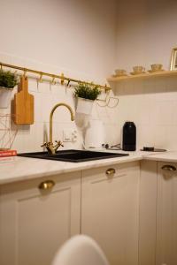 a kitchen with a sink and some plants on the counter at Art Apartment Bydgoszcz in Bydgoszcz