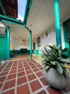 a lobby with a large pot with a plant in it at Origen Hostel Jardín in Jardin