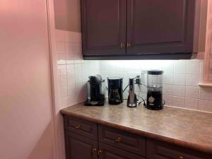 A kitchen or kitchenette at Lovely Home Away Near YYZ Airport