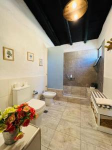 La salle de bains est pourvue de toilettes, d'un lavabo et d'une douche. dans l'établissement El Madejo - del Valle de Uco, à Tunuyán