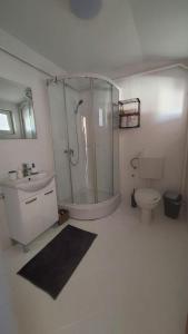 een badkamer met een douche, een toilet en een wastafel bij Dream team in Osijek