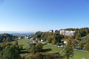 een klein stadje op een heuvel met bomen en gebouwen bij Ferienwohnung Gipfelblick in Freyung