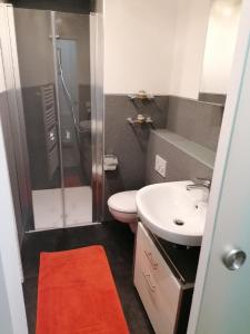 een badkamer met een douche, een toilet en een wastafel bij Ferienwohnung Gipfelblick in Freyung