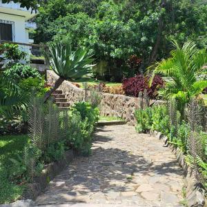 un jardin avec des plantes et un chemin en pierre dans l'établissement Villas El Amatle, 