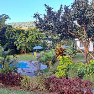 Elle offre une vue sur un jardin doté d'une piscine. dans l'établissement Villas El Amatle, 