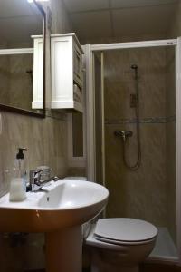 een badkamer met een wastafel, een toilet en een douche bij La Posada in Cantavieja