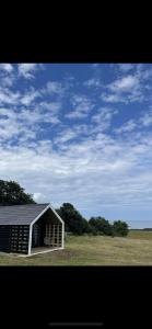 a small building in the middle of a field at Craster Coastal Cabins in Craster