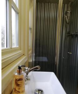 a bathroom with a sink and a window and a shower at The Daffodil Hut in Porkellis