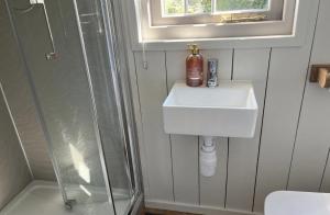 a bathroom with a sink and a shower at The Daffodil Hut in Porkellis