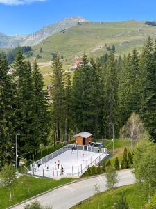un parque de patinaje en medio de una carretera en Hotel Pestera en Sinaia