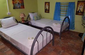 Duas camas individuais num quarto com um candeeiro. em Salz Cozy Inn em Roseau