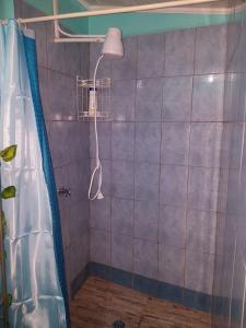 a shower with a shower head in a bathroom at Salz Cozy Inn in Roseau