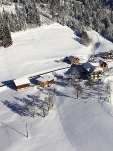 ヘルマゴルにあるBergbauernhof Schluderの雪の中のリゾートの空中ビュー