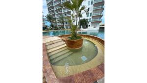 a palm tree in a pot next to a swimming pool at Pacifika Marina Mazatlán in Mazatlán