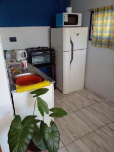 a kitchen with a white refrigerator and a plant at La Delia in Gualeguaychú