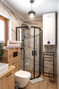 a bathroom with a shower with a toilet and a sink at Jaki Widok! in Maniowy