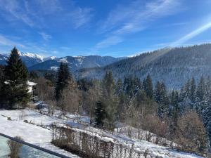Blick auf einen verschneiten Berg mit Bäumen und Bergen in der Unterkunft Pineview Waldhaus in Flims