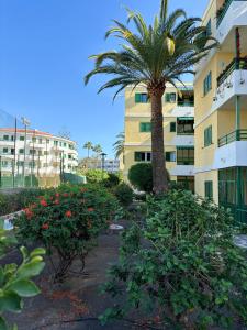 een palmboom in een tuin naast een gebouw bij Las olas 214 in Maspalomas