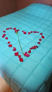 serce zrobione z czerwonych kwiatów na niebieskim torcie w obiekcie Viajes & Vida km0 w mieście San Pedro de Atacama