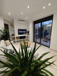 un salon avec une plante en pot et une télévision dans l'établissement Brand new flat with courtyard and private parking!, à Athènes