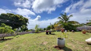 Giardino di Votre Cocon Océan : Studio bien aménagé à louer