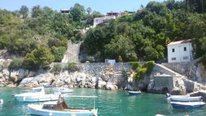 a group of boats in a body of water at Rooms Mozara in Trsteno +17 photos