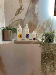 a shelf with three bottles of soap and some plants at Luxury private FARM BARN, Airport, NEC 