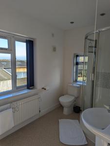 łazienka z toaletą, umywalką i oknem w obiekcie The Moorhead Bed & Breakfast w mieście Wem