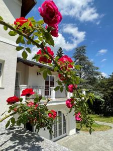 einem Zweig mit roten Rosen vor einem Gebäude in der Unterkunft Caterina.C B&B in Val Della Torre