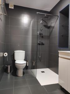 a bathroom with a toilet and a glass shower at VUELVE apartamentos in Fuente de Cantos +9 photos