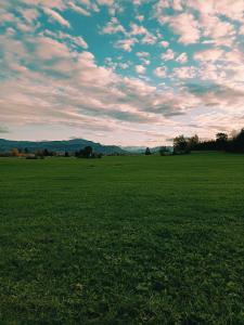 ein Feld von grünem Gras mit wolkigem Himmel in der Unterkunft Altholzapartment in Kempten in Waltenhofen