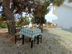 Fotografie z fotogalerie ubytování Studios Fokia Beach v destinaci Amoopi