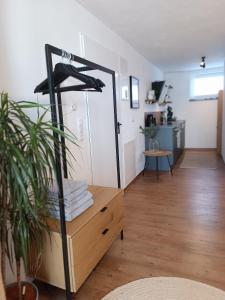 ein Zimmer mit einem Spiegel und einem Tisch mit einer Pflanze in der Unterkunft Altholzapartment in Kempten in Waltenhofen