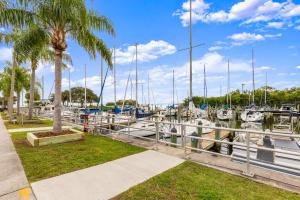 a marina with boats and palm trees at NEW! Canopy Cabana - Luxury Downtown Apartment in Safety Harbor