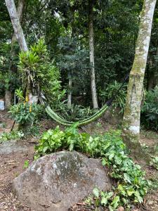einen Garten mit einem grünen Seil um einen Baum in der Unterkunft Chalé Ouro Verde in Angra dos Reis
