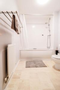 a bathroom with a shower and a toilet and a rug at Fantastic 2 Bed 2nd Floor Flat in Reading
