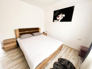 Postel nebo postele na pokoji v ubytování Pensiunea K9