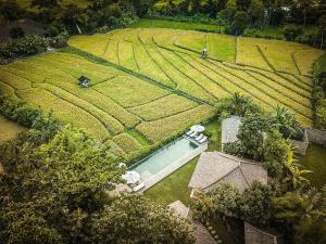 an aerial view of a farm with a swimming pool in a field at Villa Artis in Canggu