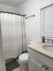 マイアミにある13101 Main Apartment Miamiのトイレ、シャワー、洗面台を備えたバスルーム
