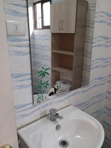 Imagem da galeria de Cabañas doña carmen em Punta de Choros mais 14 fotografias